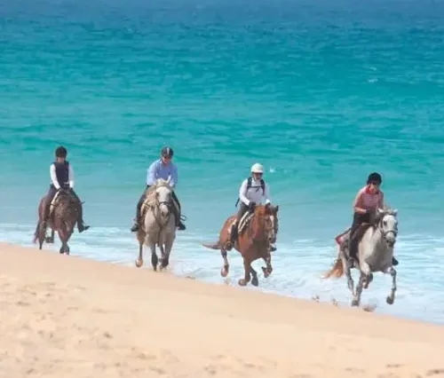 Horse riding in Hurghada - maze egypt 1