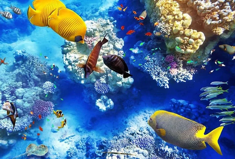 Marsa Alam