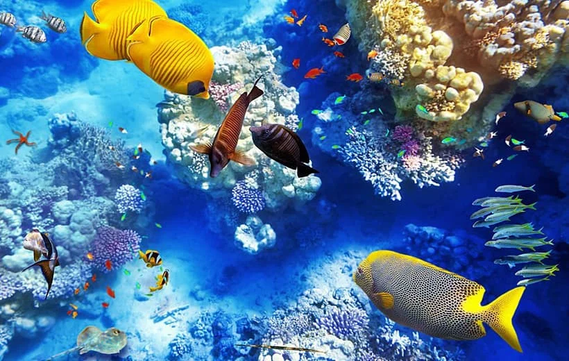 Marsa Alam