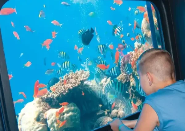 Royal Seascope Underwater Adventure - maze egypt 3