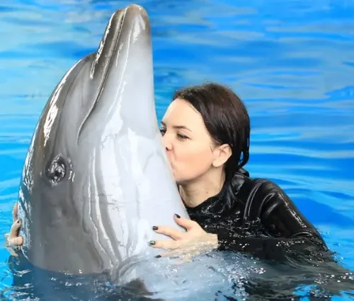 Swimming in Hurghada with dolphins - Maze Egypt 1