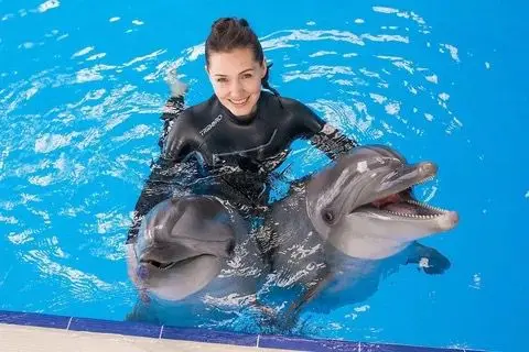 Swimming in Hurghada with dolphins - Maze Egypt 2