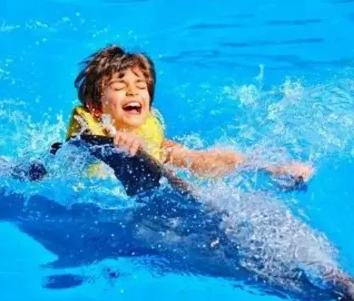 Swimming in Hurghada with dolphins - Maze Egypt 4