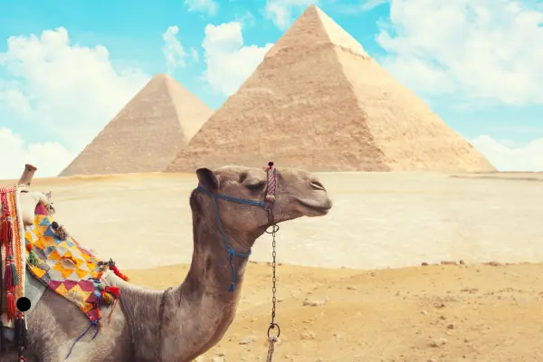 cairo tours - maze egypt 1