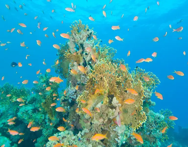 Diving Hurghada Prices - Hurghada tours and trips - maze egypt 1