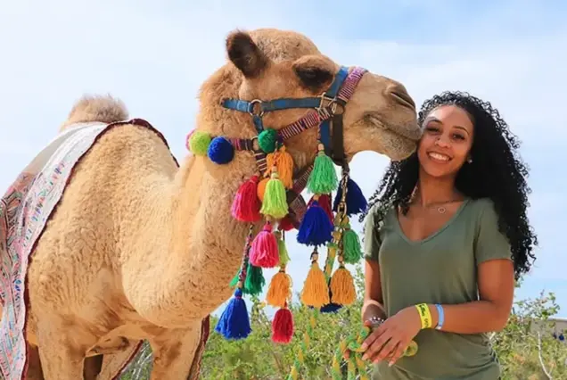 Сафари на квадроциклах хургада и катание на верблюдах (4)