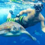 Best Snorkeling in Hurghada - Snorkeling Hurghada