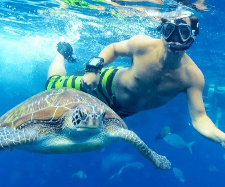 Best Snorkeling in Hurghada - Snorkeling Hurghada