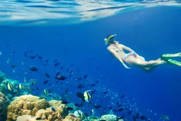 Hurghada Snorkeling Spots A Deep Dive into the Reefs