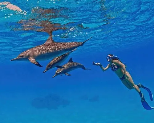 Hurghada Snorkeling Trips & Tours