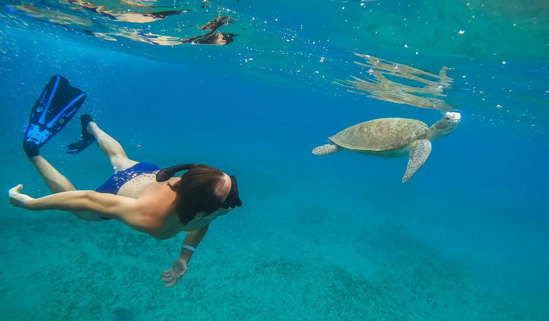 Snorkeling Hurghada Price