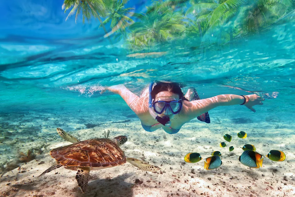 Why Hurghada is a Snorkeler’s Paradise