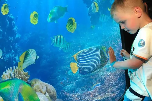 Submarine Sharm El Sheikh 11