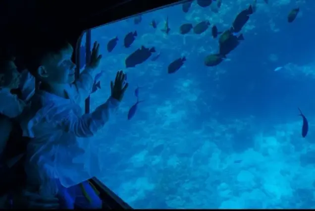 Submarine Sharm El Sheikh 13